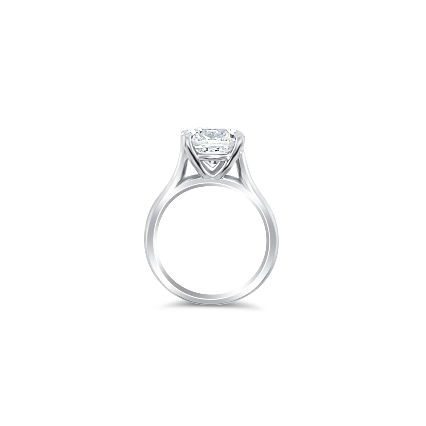 14K White Gold Diamond Ring V0372